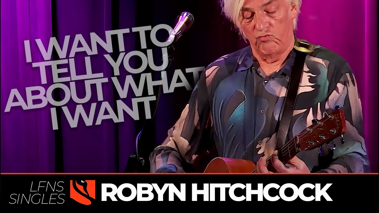 I Want to Tell You About What I Want | Robyn Hitchcock