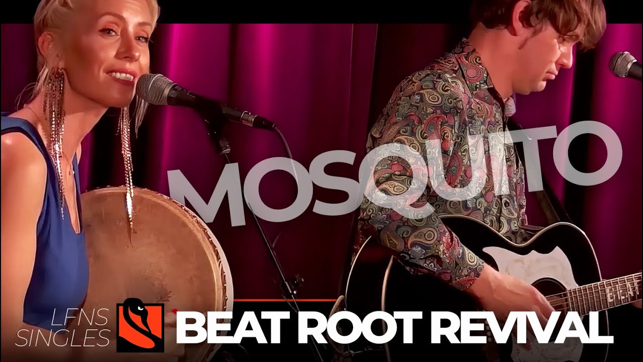 Mosquito | Beat Root Revival