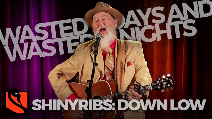 Wasted Days and Wasted Nights | Shinyribs Down Low