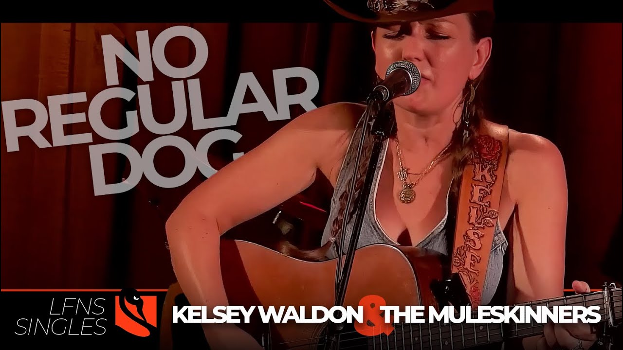 No Regular Dog | Kelsey Waldon and the Muleskinners