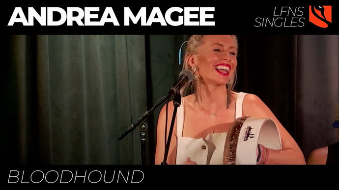 Bloodhound | Andrea Magee