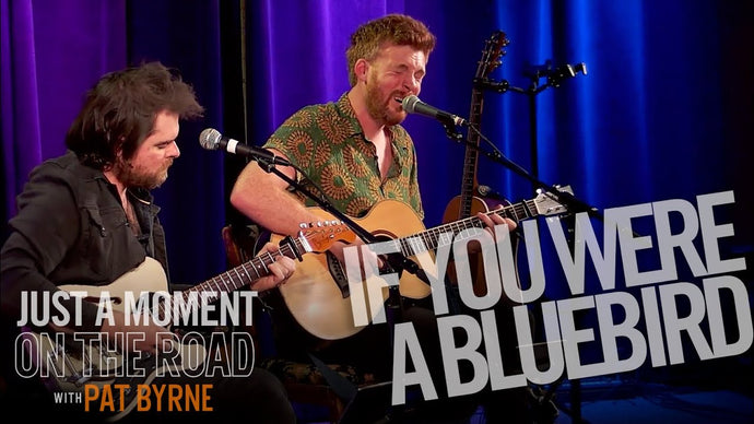 If You Were a Bluebird | Pat Byrne