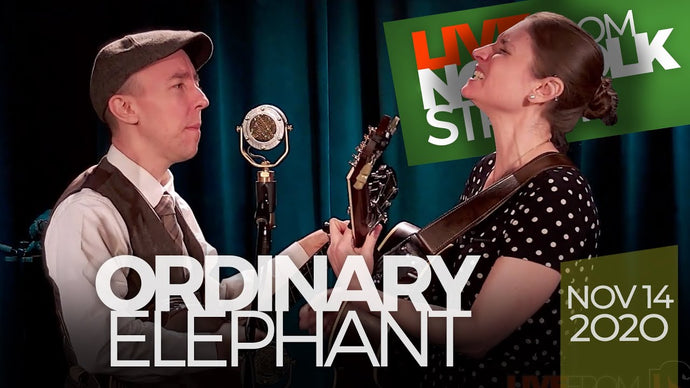 Ordinary Elephant | November 14, 2020