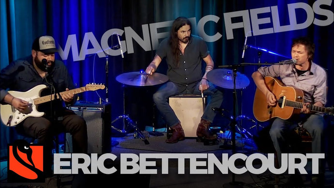 Magnetic Fields | Eric Bettencourt